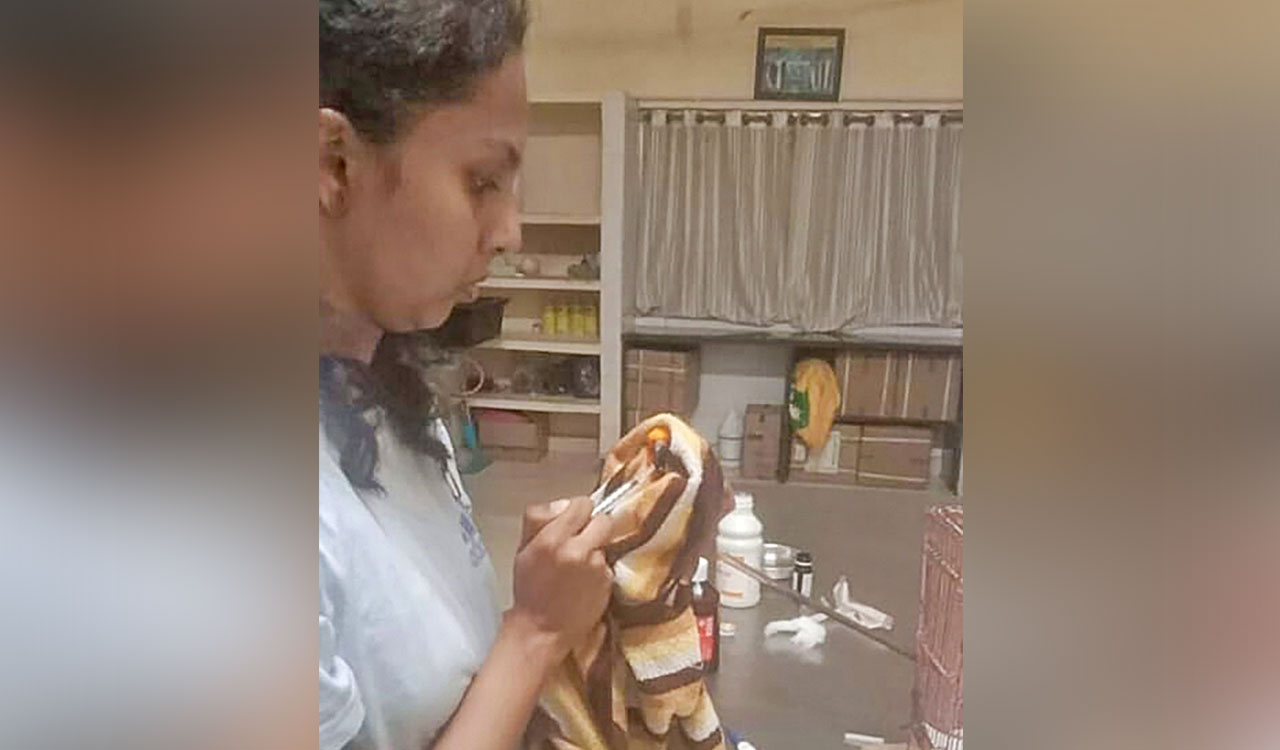 Veterinarian dies after hippopotamus attack at Shivamogga safari