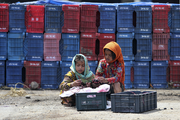 India, Nigeria account for one-third of global under-five deaths in 2023