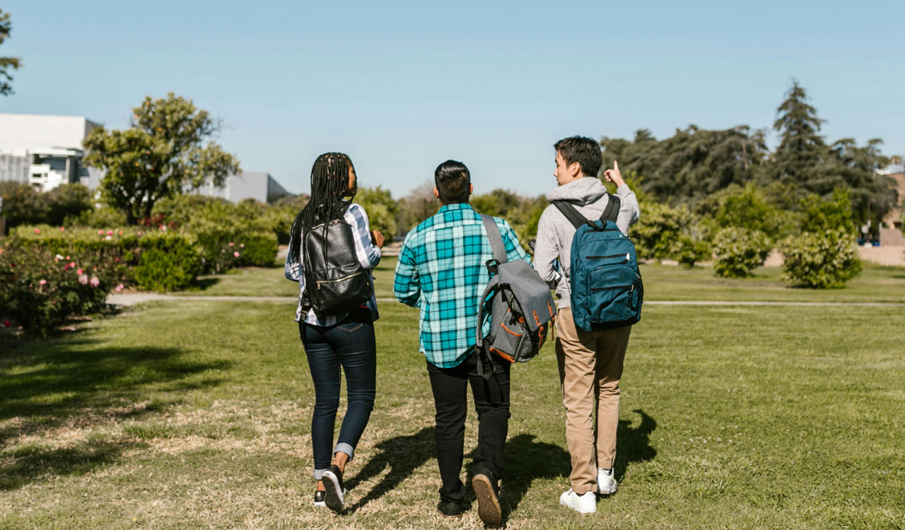 Indian students in Ireland rise sharply over past decade: Report