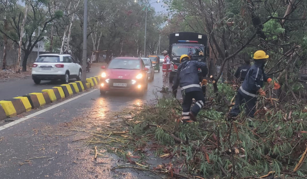 Thunderstorms lash Hyderabad, trees uprooted across city; HYDRAA steps in