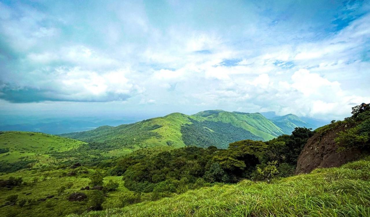 Alone with fireflies: Kerala woman trekker survives in forest by drinking stream water
