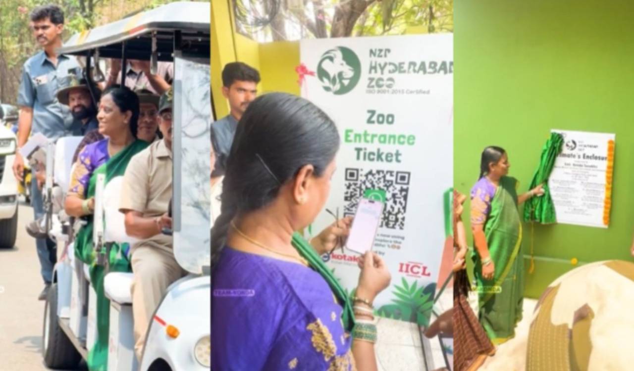 Hyderabad zoo welcomes two African lion cubs and two Royal Bengal tiger cubs