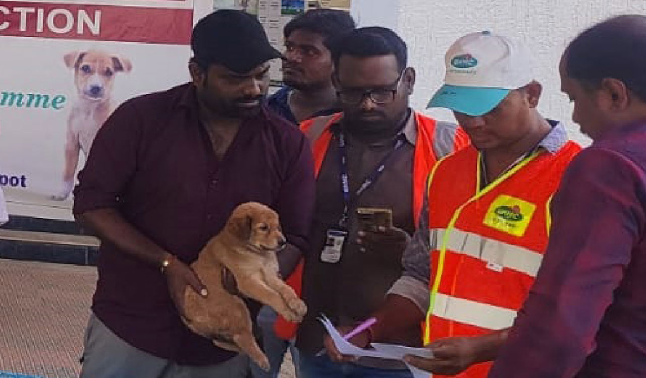 GHMC’s Indie puppy adoption drive promotes responsible pet ownership