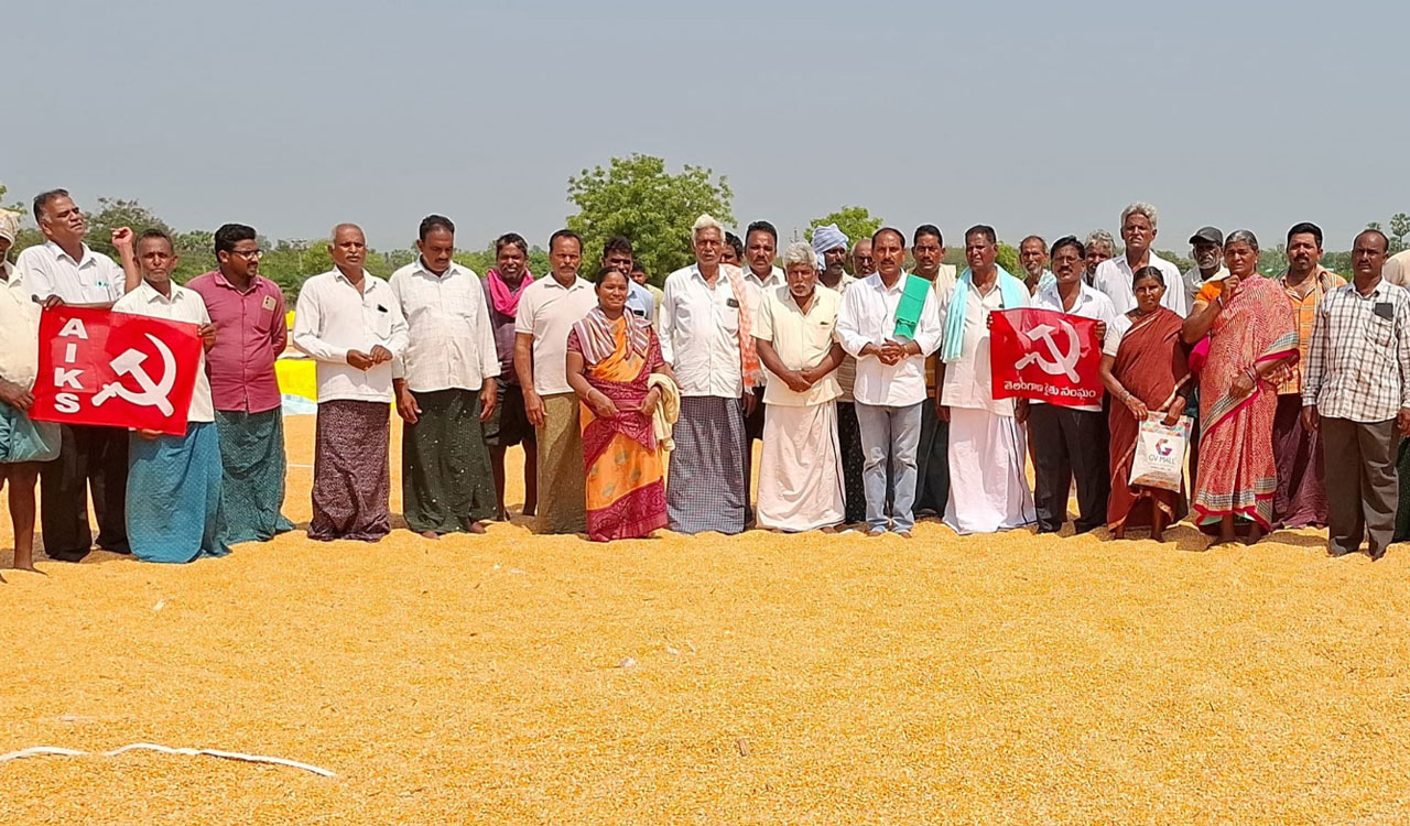 Khammam maize farmers hit hard by procurement delays