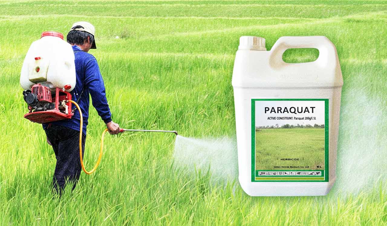 Paraquat ban welcomed, but implementation key: DAPP