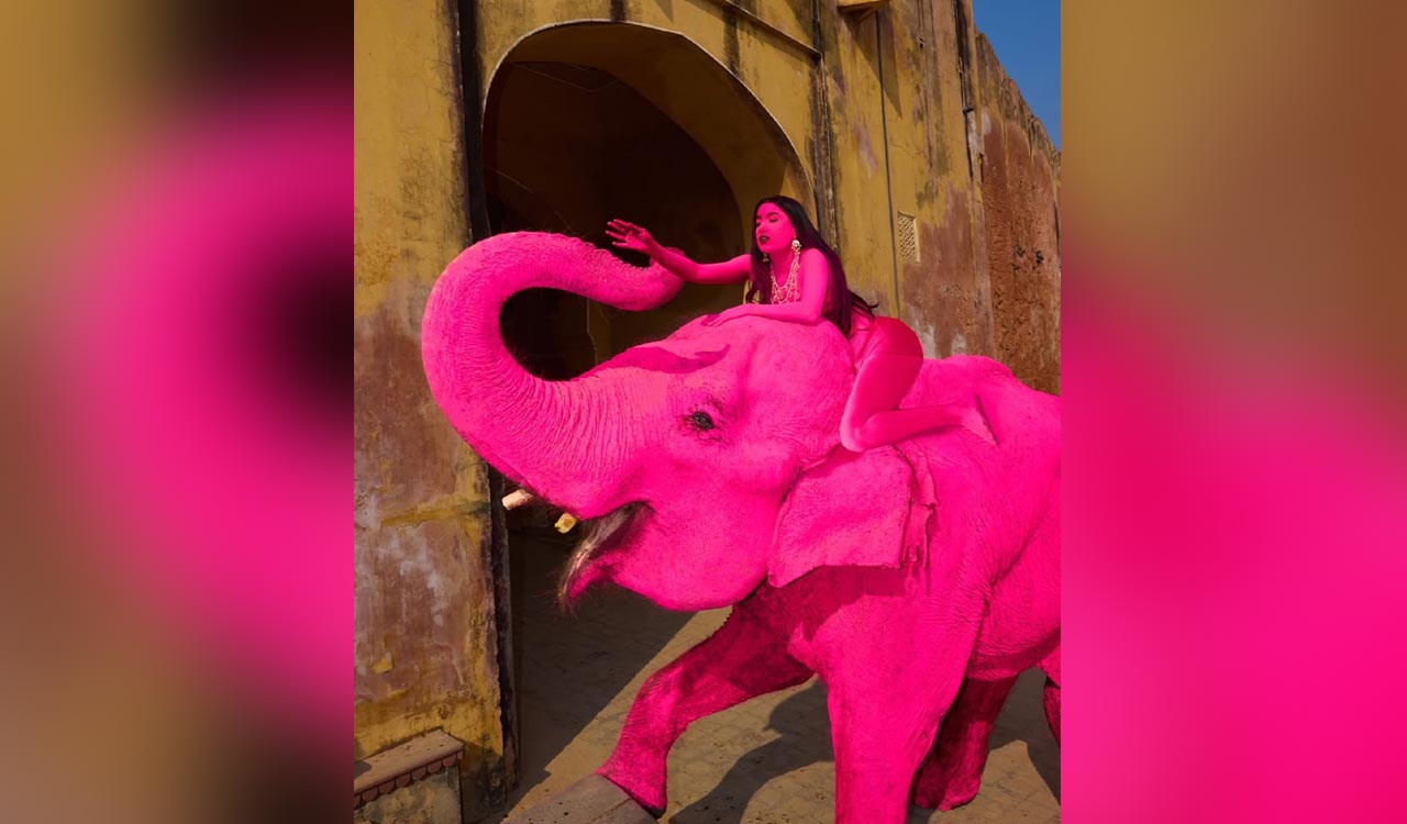 Jaipur ‘pink elephant’ shoot sparks fresh outrage online