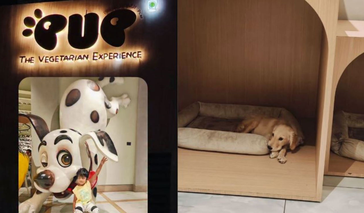 Step Out With Your Pet at These Hyderabad Cafes