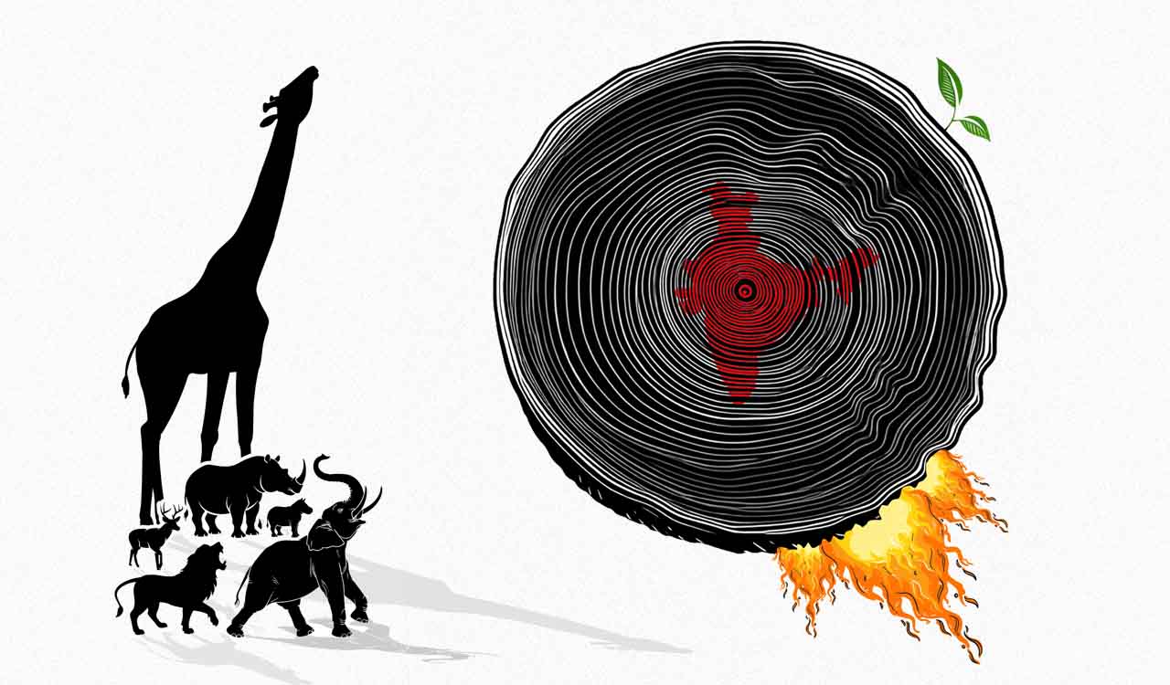 Rewind: India’s natural heritage is speaking in signs and silences