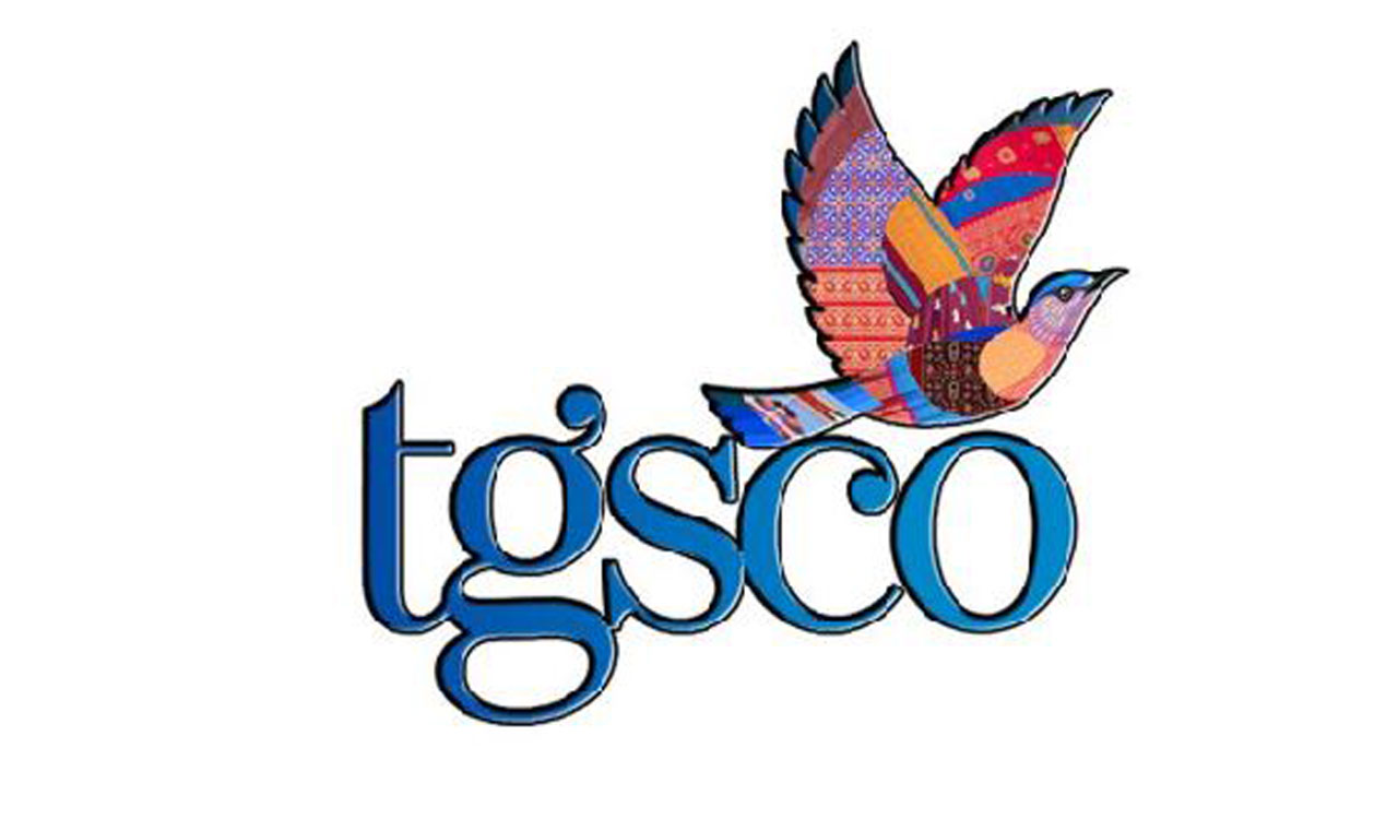 Govt order ignored? TGSCO left struggling without key department orders