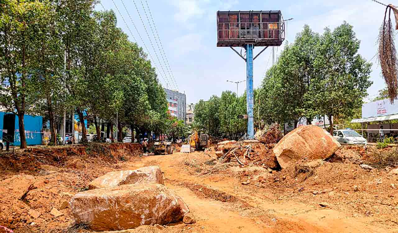 Hyderabad H-CITI project impacts green cover near KBR Park stretch