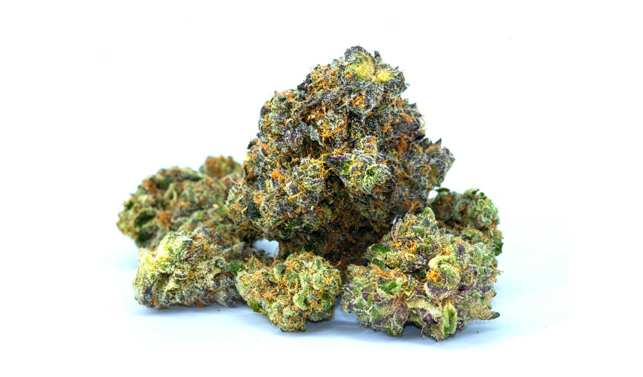 Woman held with 3 kg hydroponic marijuana at Hyderabad airport