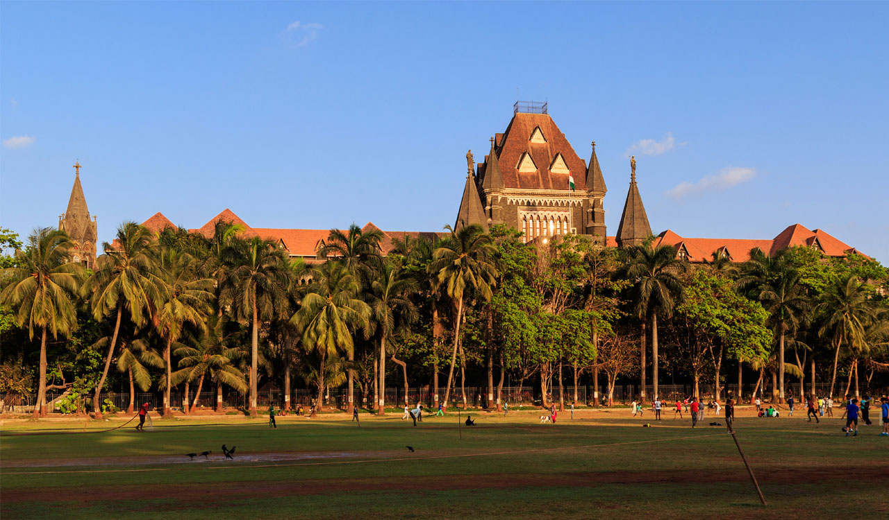 Bombay HC urges citizens to follow traffic rules and civic sense