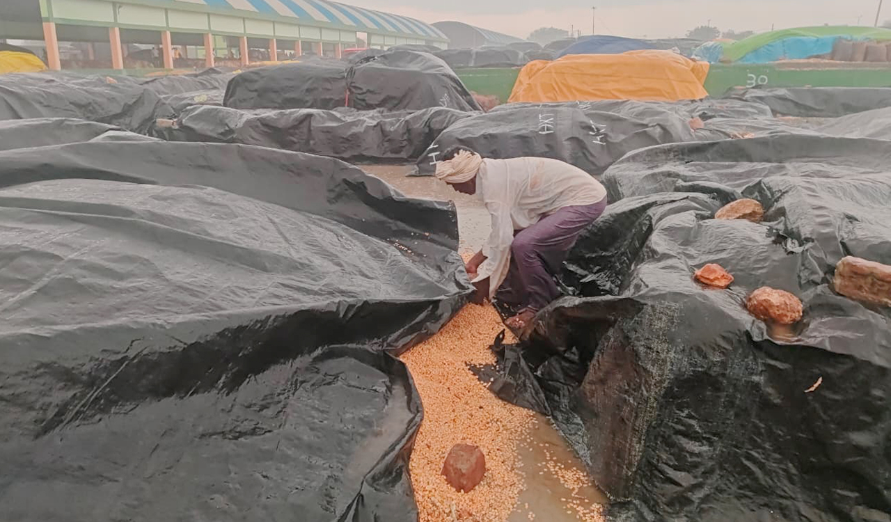 Farmers’ stocks soaked due to unseasonal rains in Nagarkurnool, Yadadri Bhongir