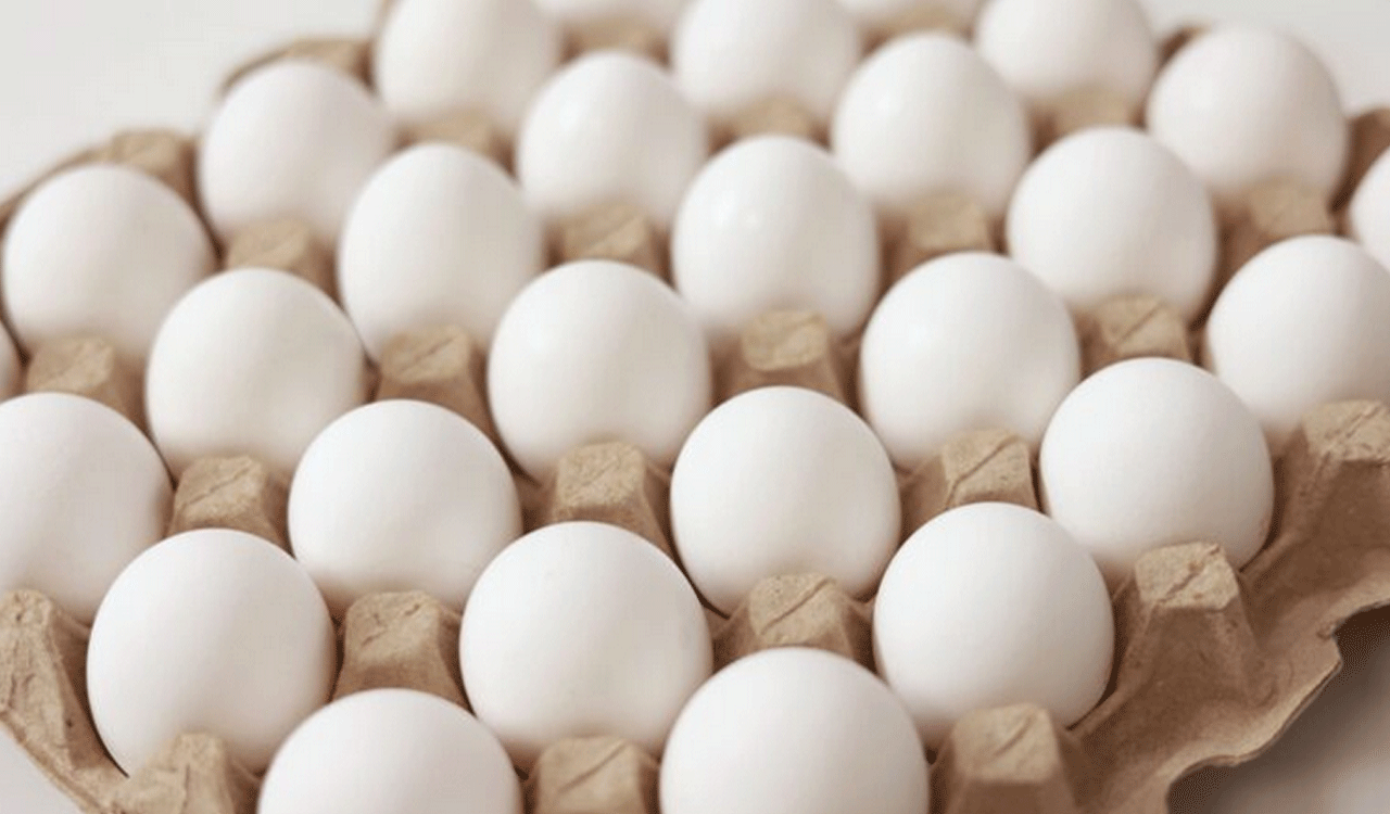 Egg prices rise sharply in Hyderabad amid summer impact