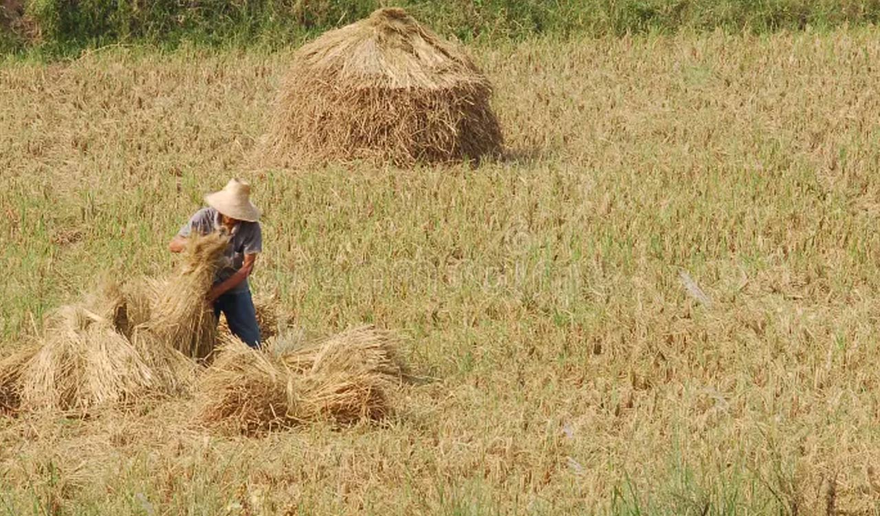Despite police warning, farmers drying crop on roads in Karimnagar