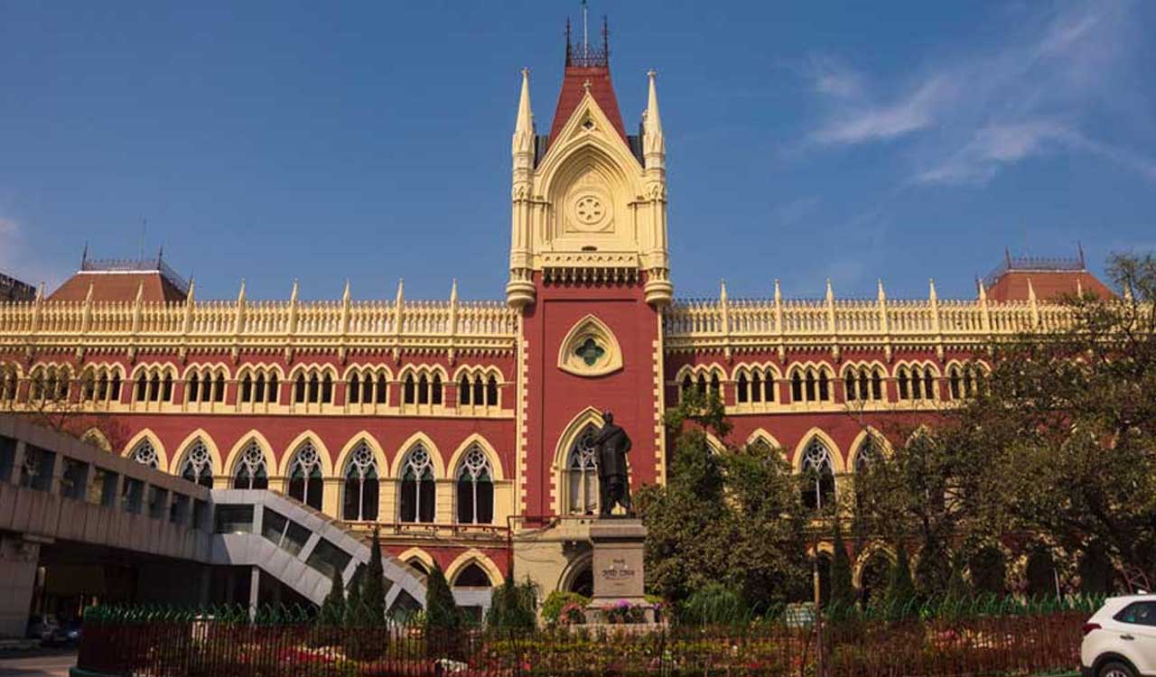 Calcutta High Court cancels appointment of professors as poll officers