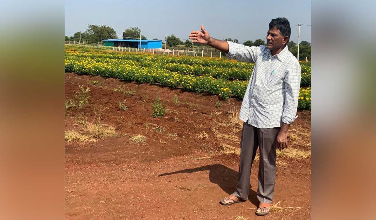 Farmer writes to Revanth on power cuts, voltage fluctuations, says he might quit farming