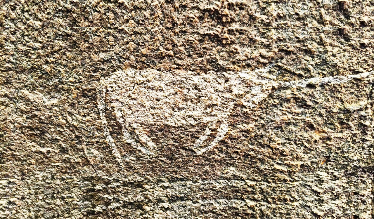Rock art from multiple periods discovered in Nagarkurnool cave