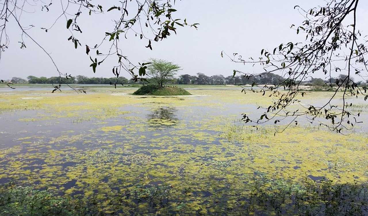 UP committed to biodiversity: Adityanath on Shekha Lake being declared Ramsar site