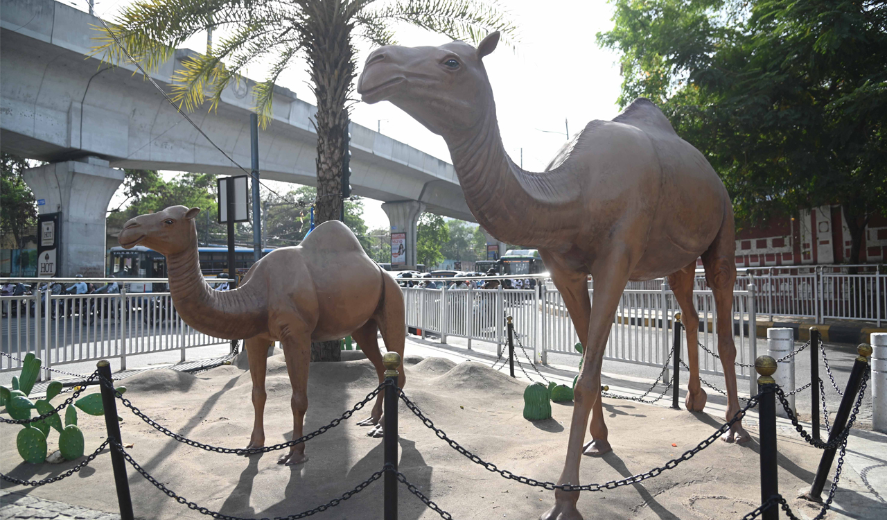 City Beautification: Hyderabad installs animal sculptures across major junctions