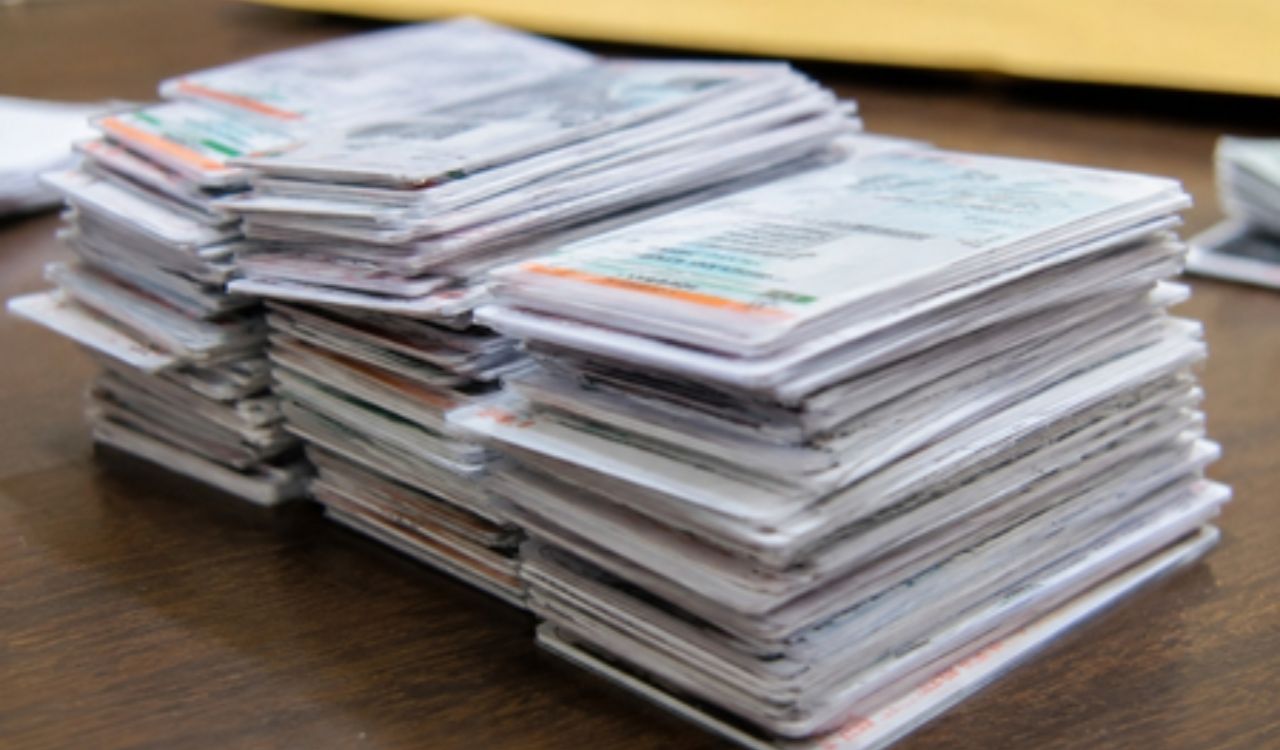 EPICs found strewn in Birbhum field; Aadhaar cards recovered from TMC office in Bidhannagar