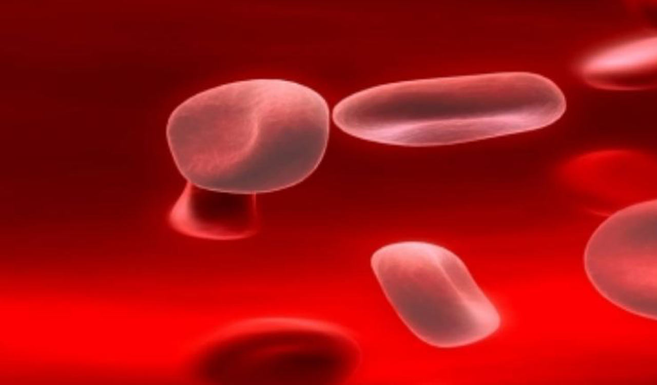 ICMR study finds Ayurvedic formulations effective in treating anaemia