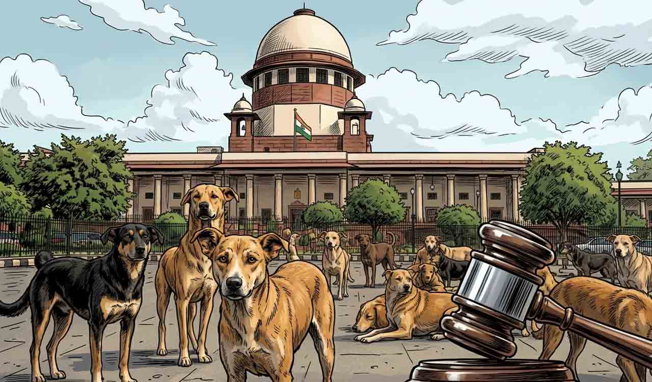 Editorial: No wishing away canine menace 