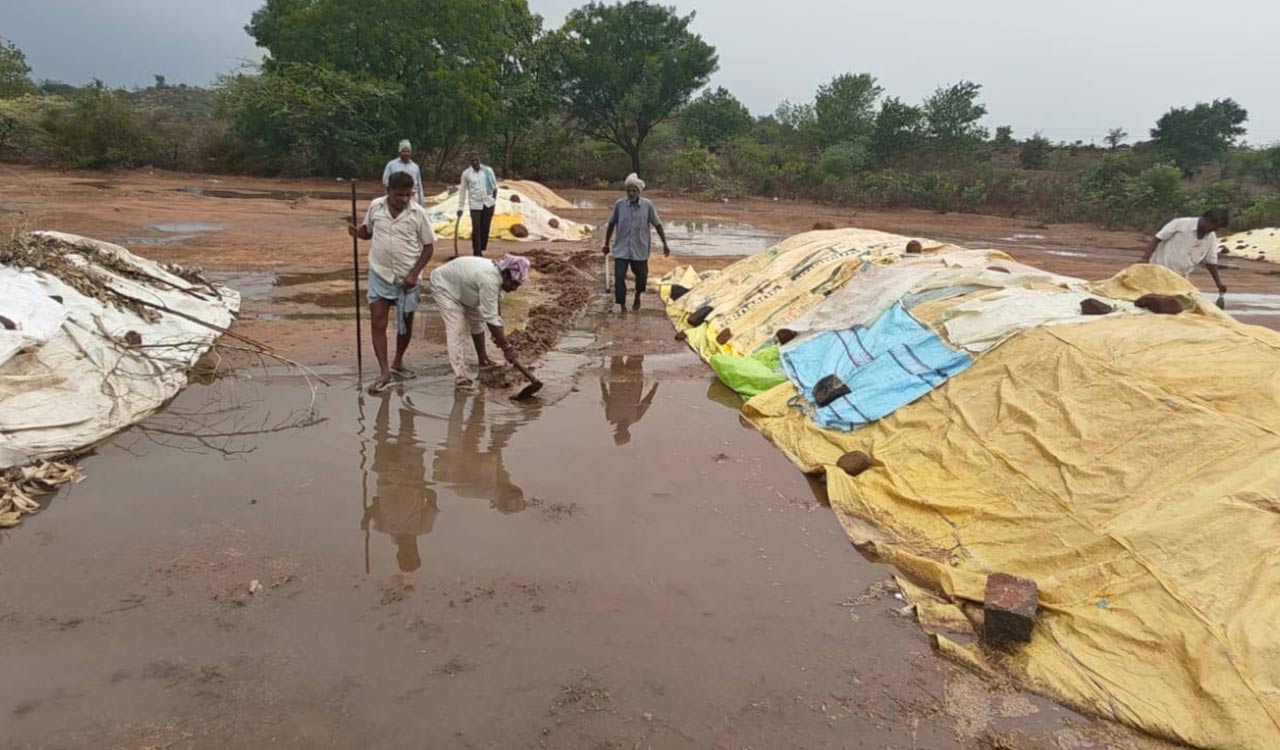 Thunderstorms and gales leave farming community shattered in Telangana