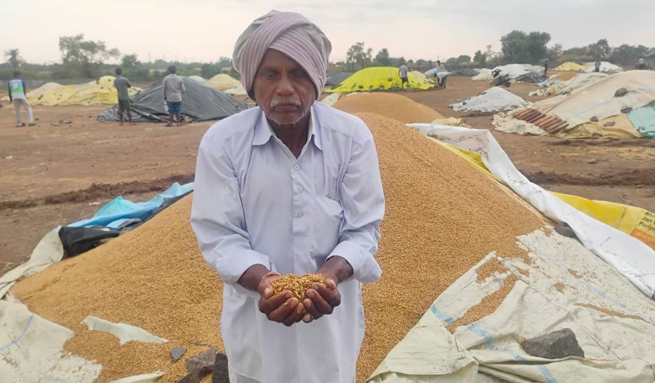 Paddy soaks in rain water in Karimnagar