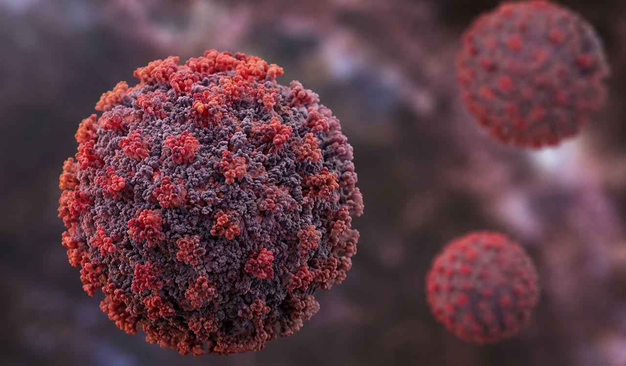 French hantavirus patient is critically ill, on artificial lung as total cases grow to 11