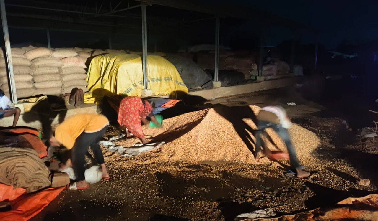 Heavy rain, strong winds cause widespread damage in Mahabubnagar region