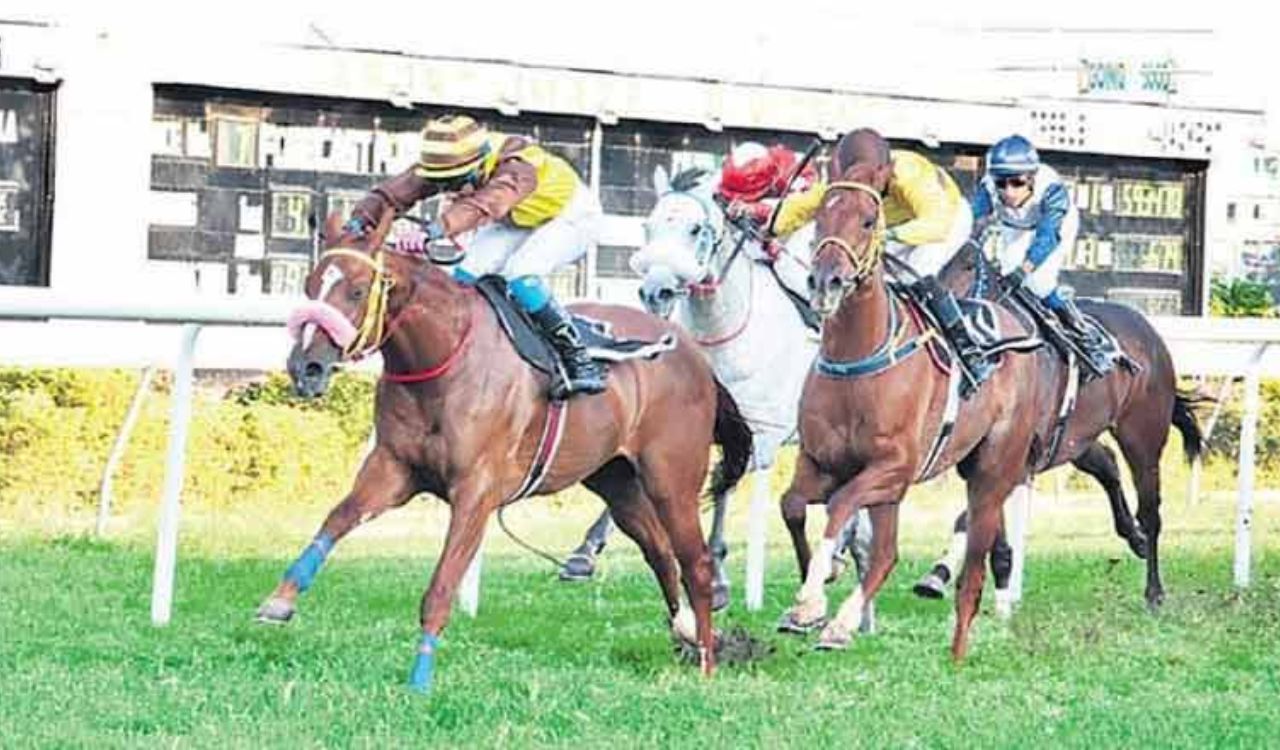 Equestrian Challenge from May 15
