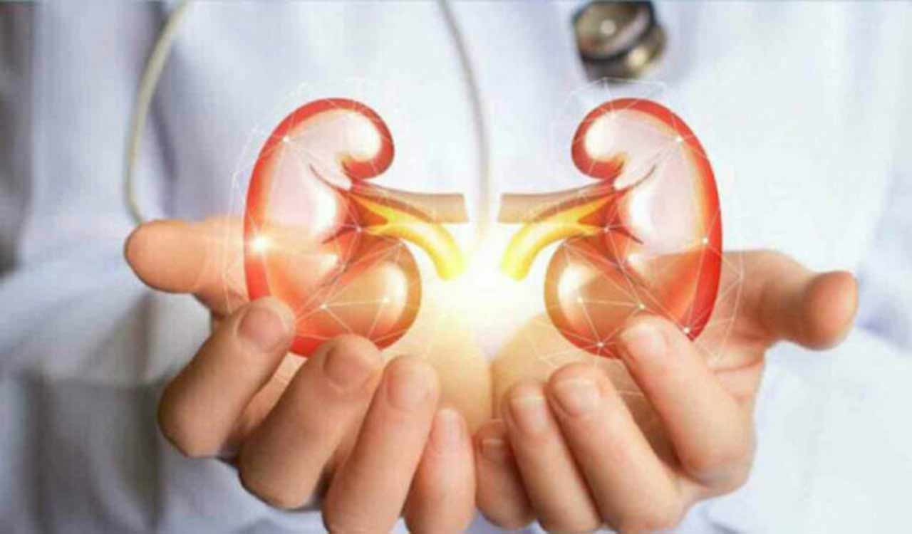 Hyderabad: AINU doctors remove 20 cm kidney tumour from Kurnool patient