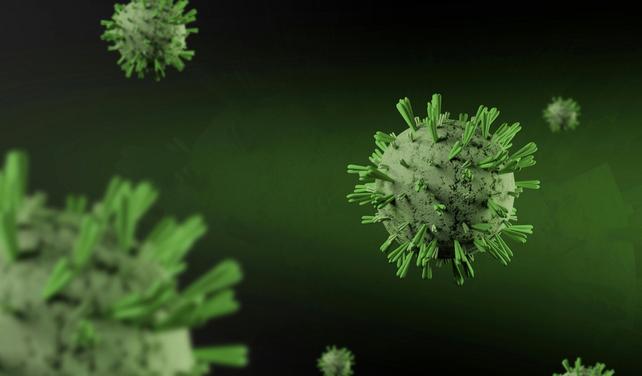 Hyderabad scientists discover ‘molecular glue’ that helps plants trap viruses