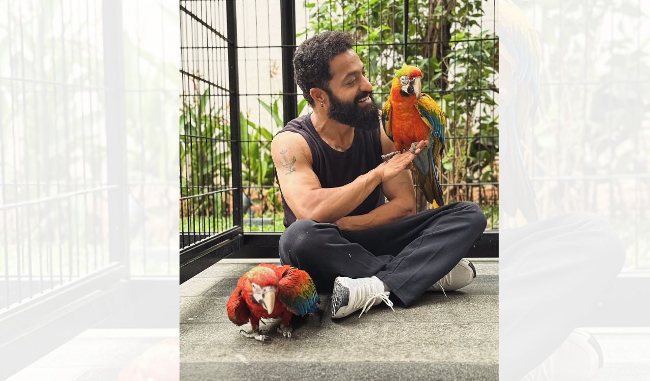 Jr NTR reflects his love for Japan as he introduces his new buddies Asahi & Yuuhi