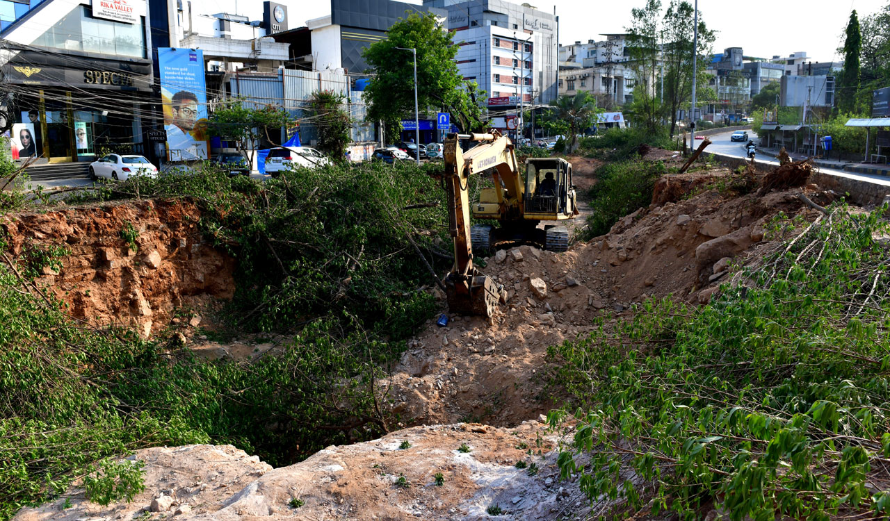 Hyderabad: Nearly 2,000 trees felled for flyovers around KBR Park