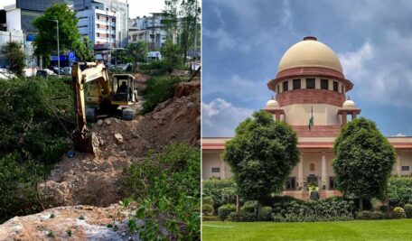 Supreme Court restrains tree felling in Hyderabad’s KBR National Park