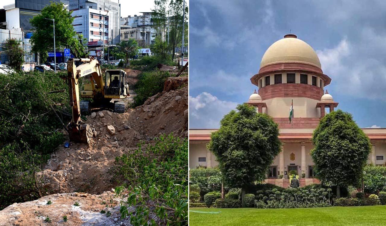 Supreme Court stays tree felling around Hyderabad’s KBR Park