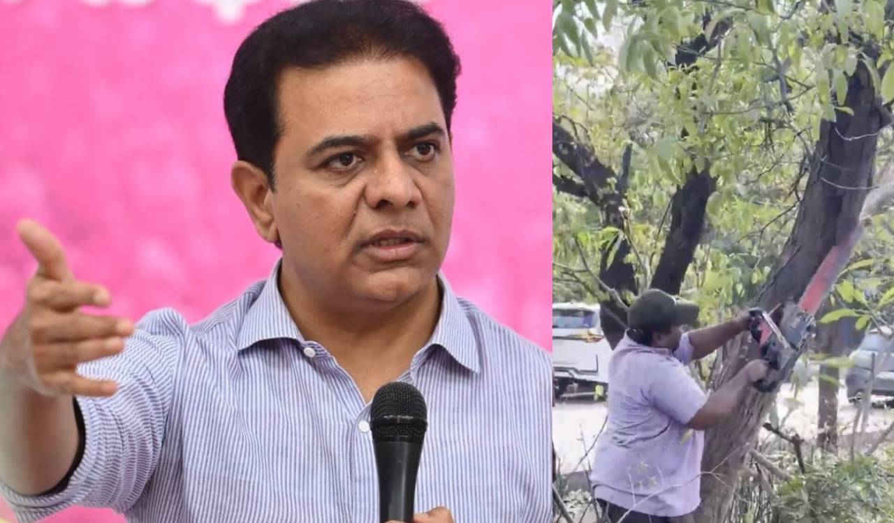 KTR backs citizens opposing tree felling around KBR park