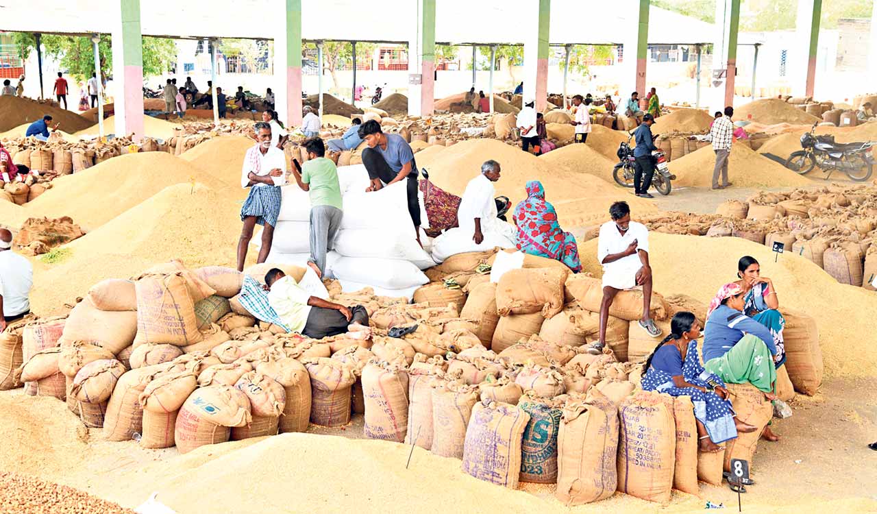 Opinion: A word to Telangana govt on rising paddy heaps