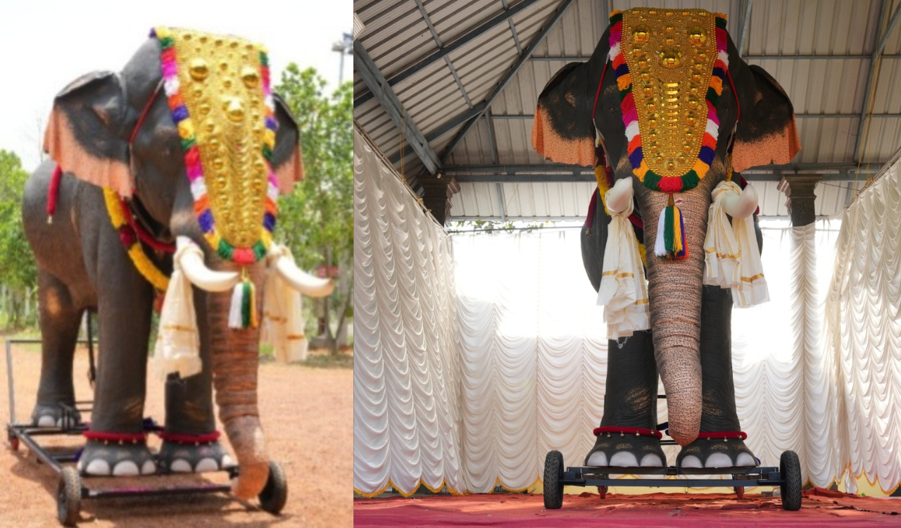 PETA proposes mechanical elephant for Bibi-ka-Alam procession in Hyderabad