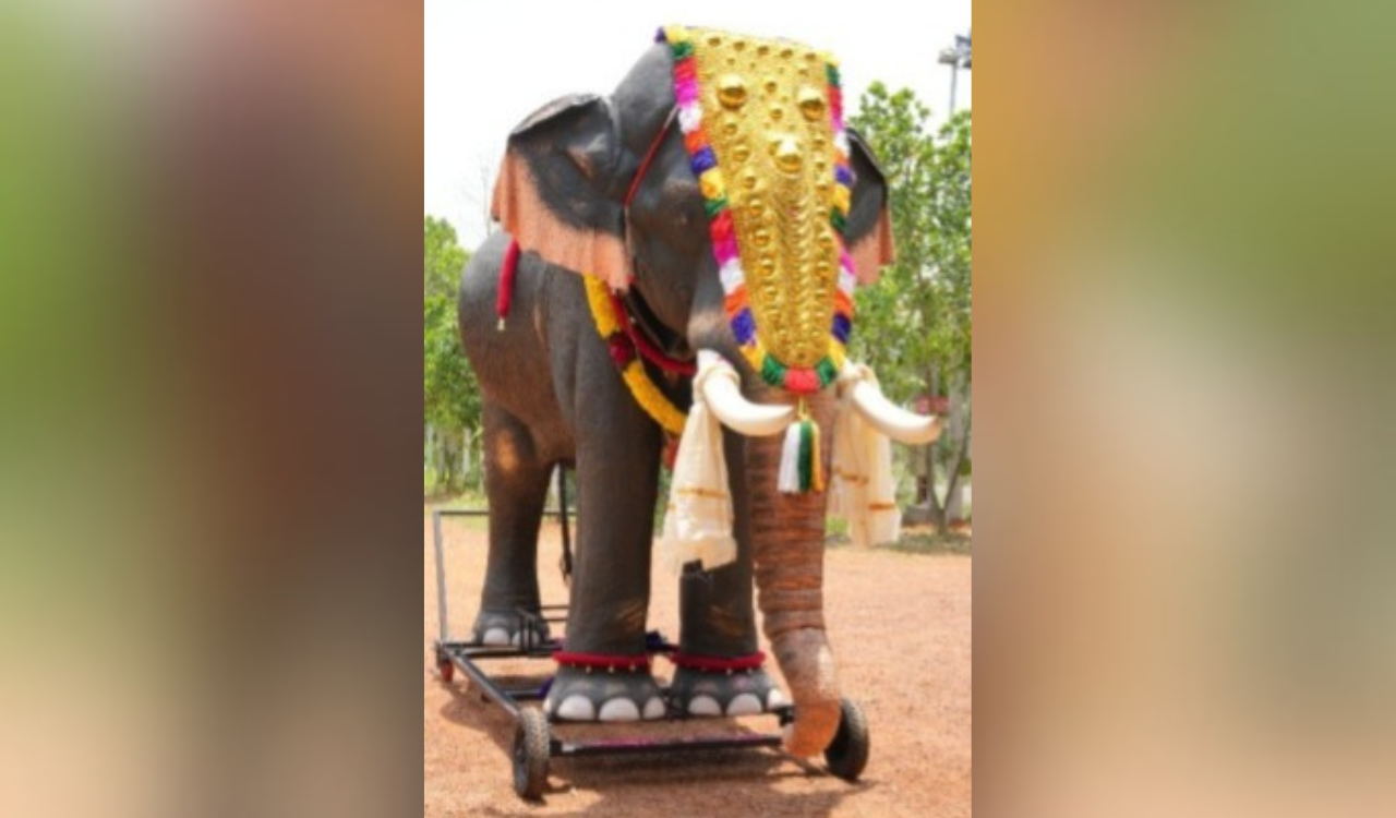 PETA proposes mechanical elephant for Bibi-ka-Alam procession in Hyderabad