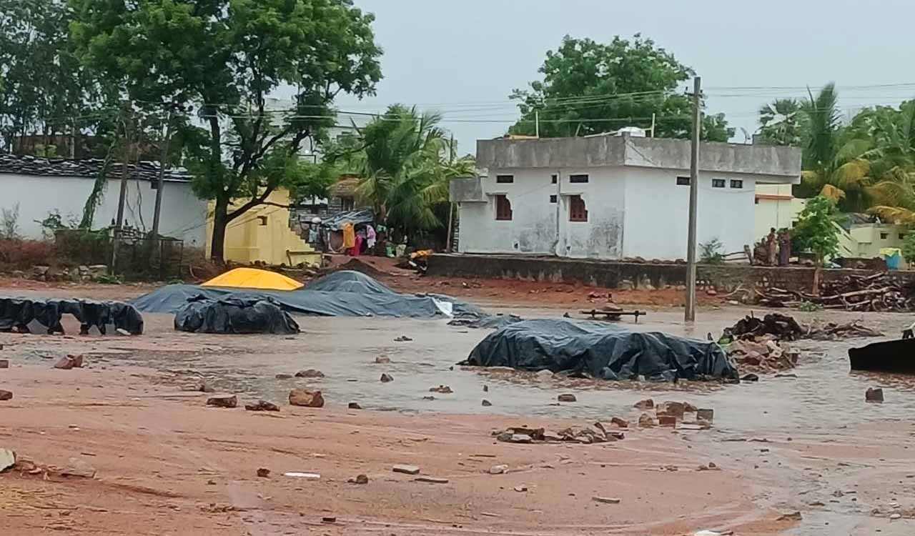 Rains in several parts of Warangal, Khammam soak paddy, maize at procurement centres