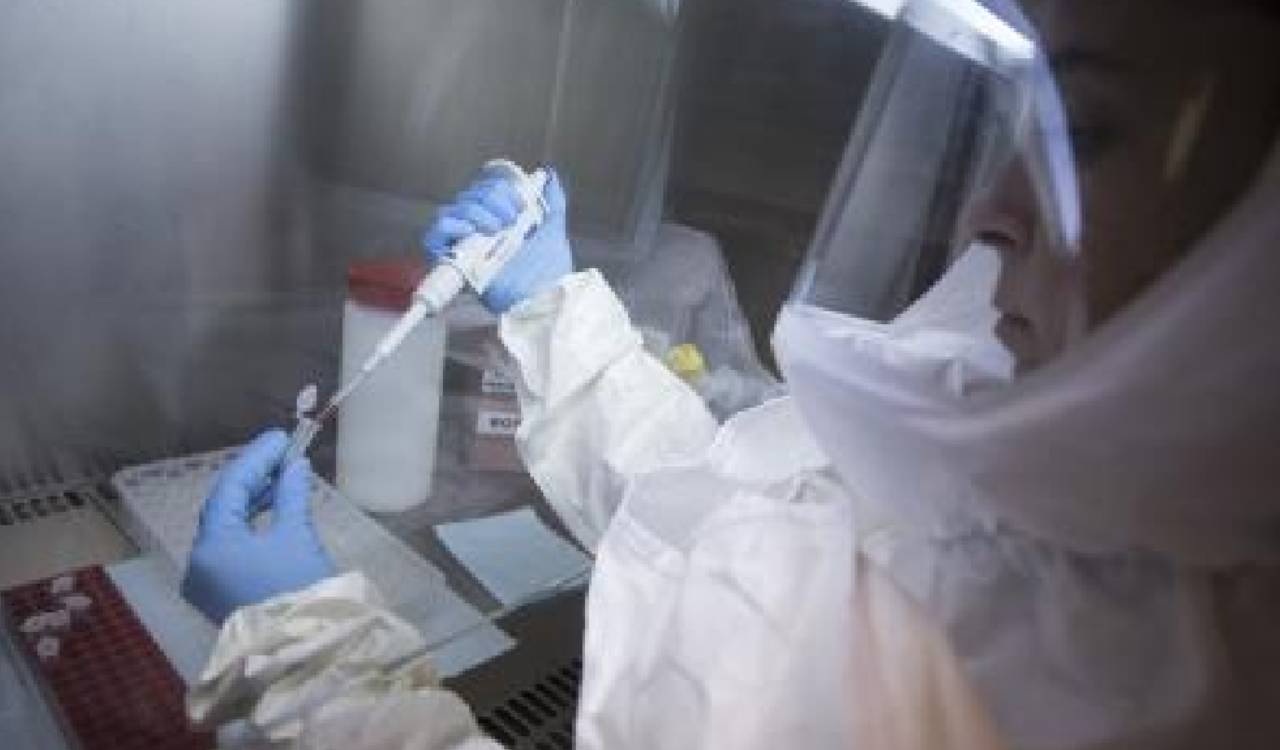 Ebola alert declared in Andhra Pradesh