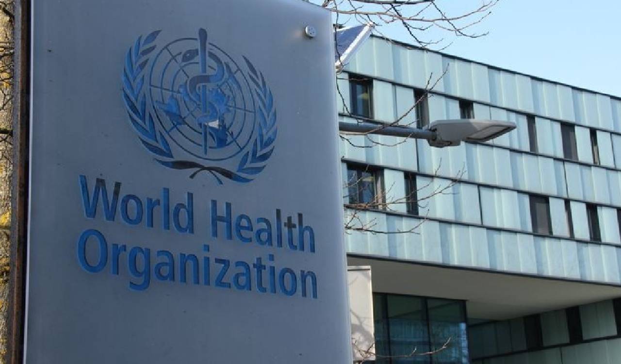 Global alert after hantavirus linked to cruise ship reaches 12 countries