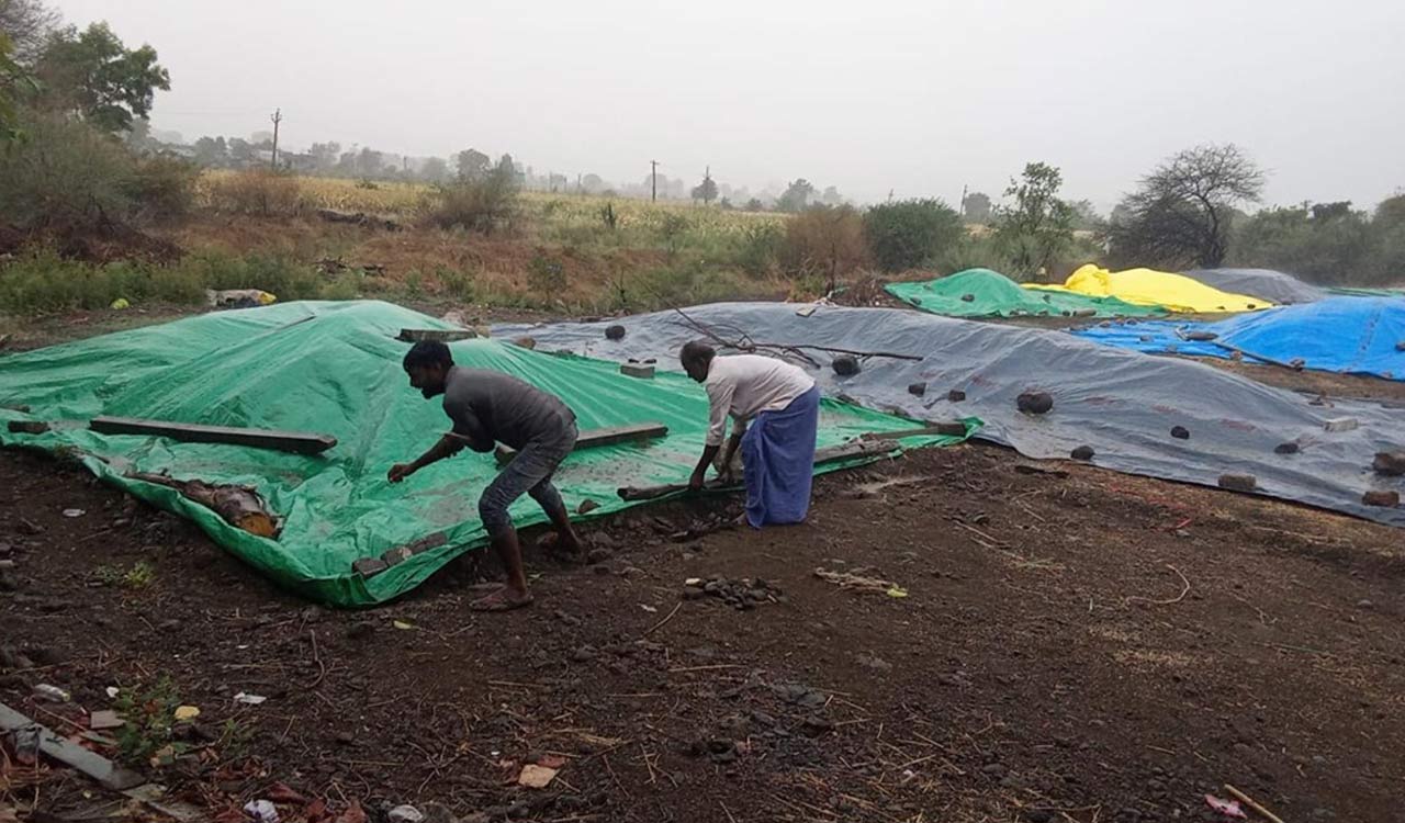 Forty quintals of jowar destroyed in Adilabad fire