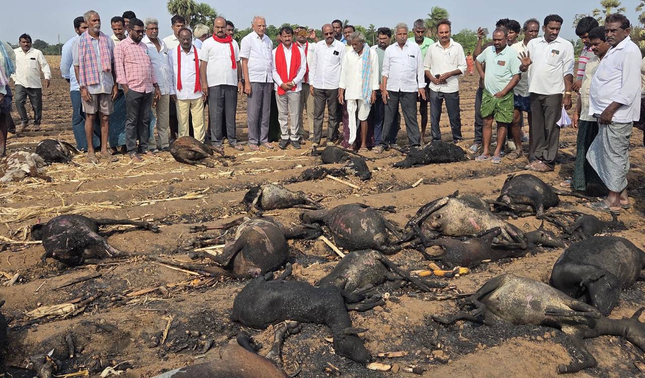 Stubble burning becomes a distressing trend causing heavy losses to farmers in Khammam