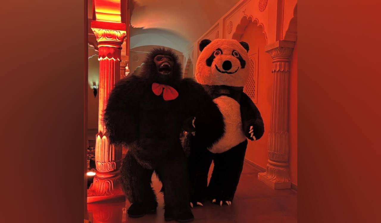Life-Size Gorillas Become The New Wedding Obsession