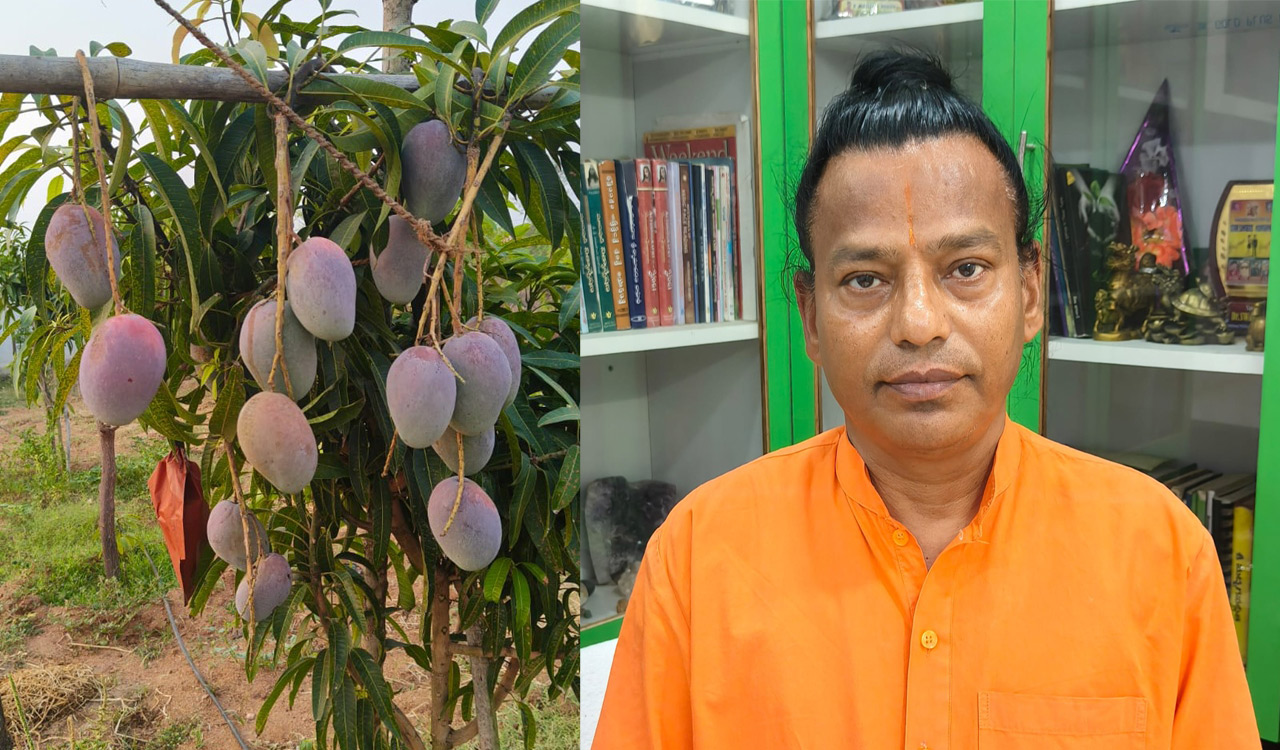 Ayurvedic doctor successfully cultivates Japan’s exotic Miyazaki mango fruits in Nirmal