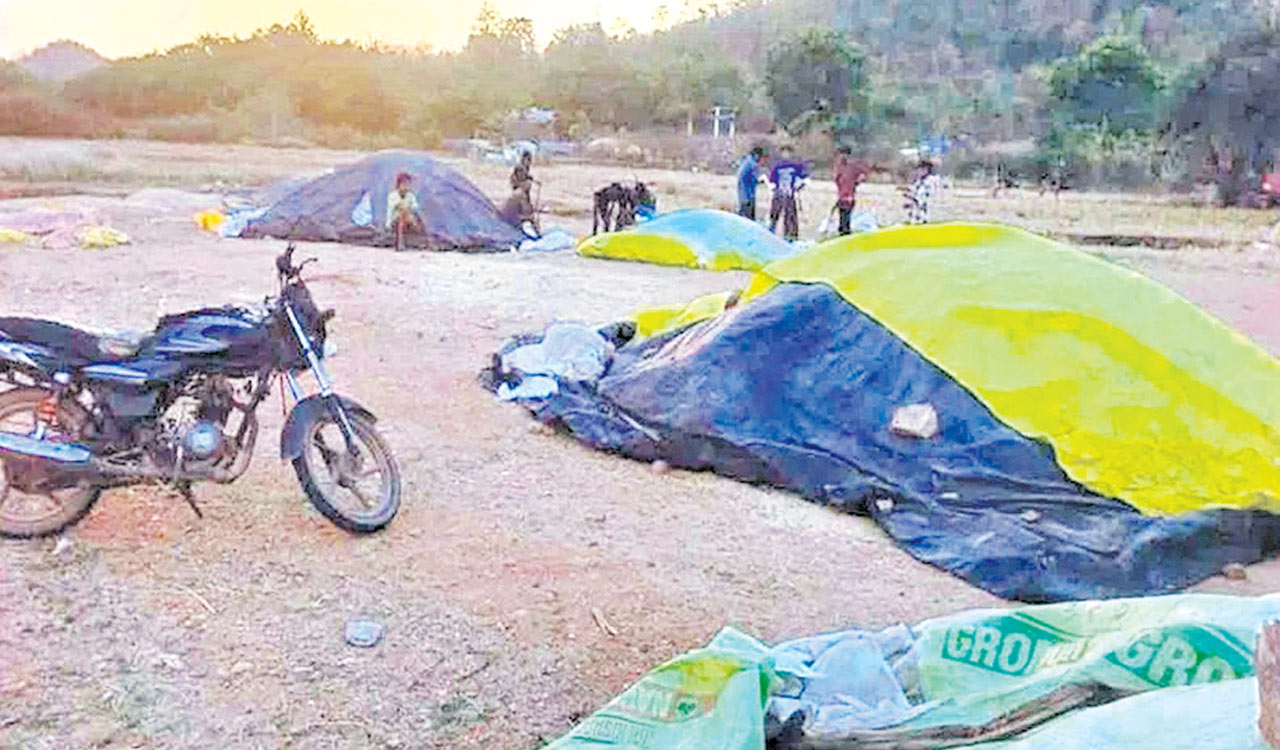 Maize farmers hit hard by storage crisis in Khammam, Kothagudem